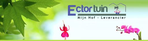 Sponsor: Ector Tuin